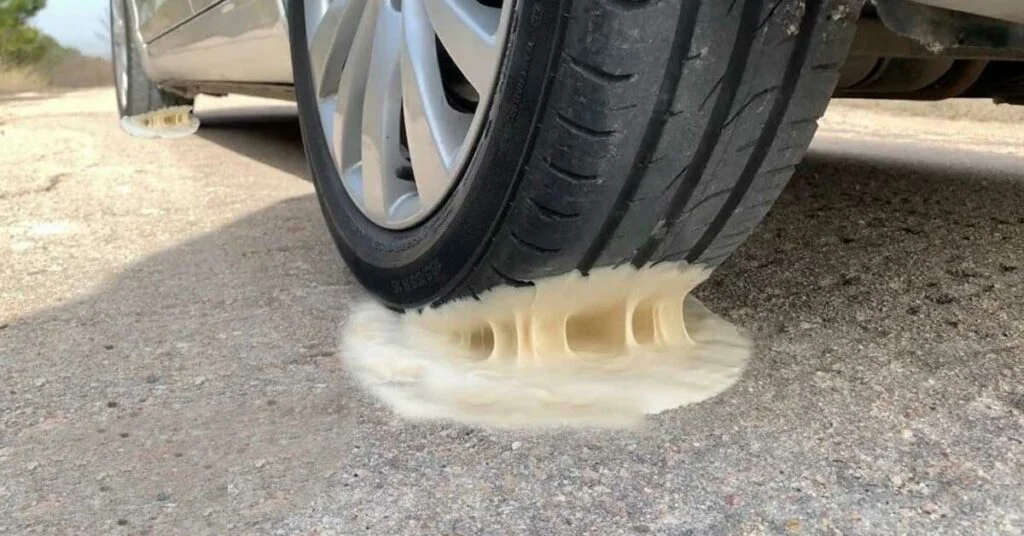 maruti suzuki swift anti glue