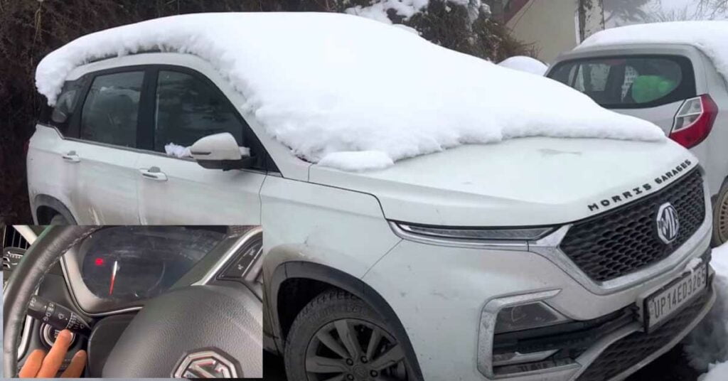 mg per hectare begins in cold snow